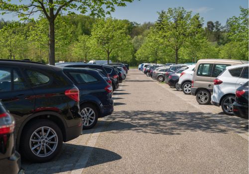 Forest festival car park management site